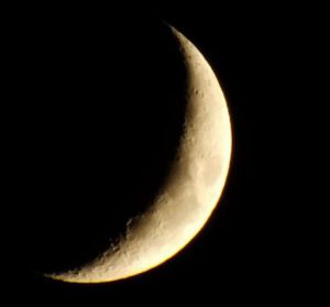 crescent_moon_diana
